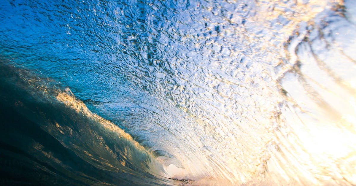 Assessing Your Physiotherapy Needs Before Chiropractic Visits