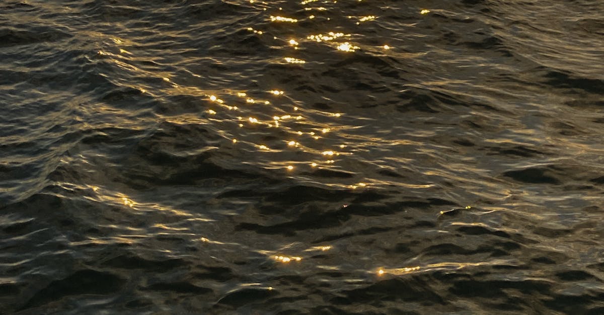 Benefits of Regular Chiropractic Visits for Enhanced Physical Flexibility