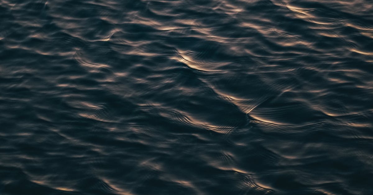 Combining Chiropractic Care with Rehabilitation Services