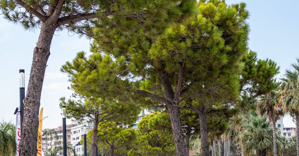 Combining Chiropractic Treatments with Relaxation Techniques