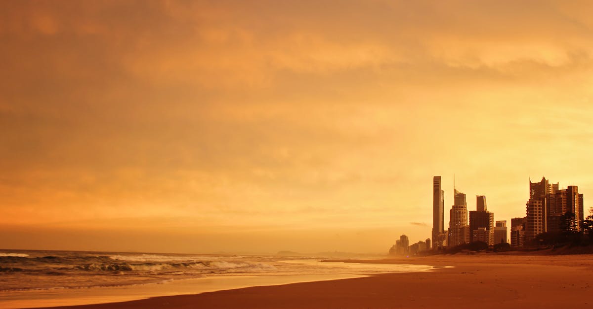 Community Resources for Locating Chiropractors in Your Area