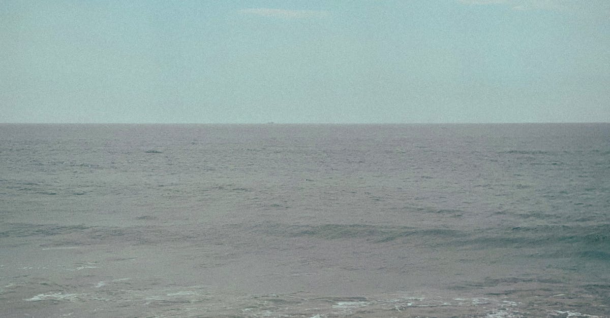 Correcting Posture: A Chiropractor’s Approach to Align Your Body