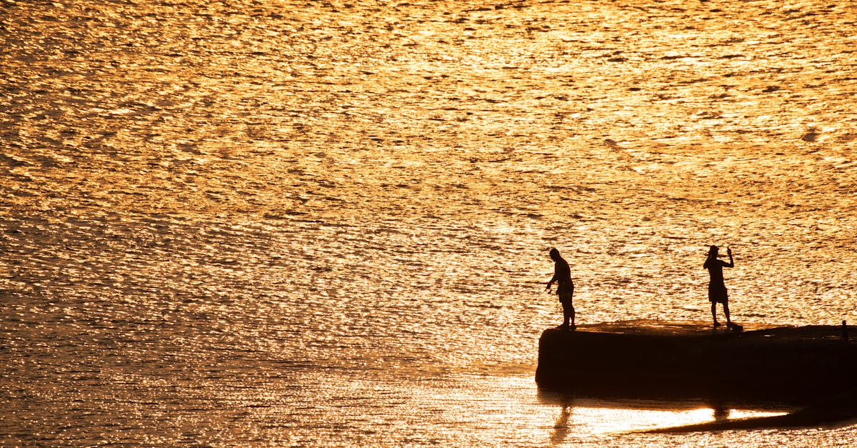 Enhancing Your Spine: The Role of Chiropractic Care in Posture Correction