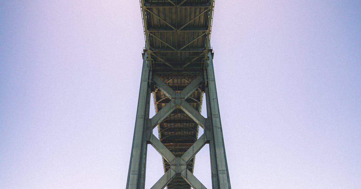 Evaluating a Chiropractor's Registration and Licensing Status