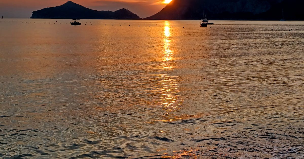 Evaluating Accessibility of Chiropractic Clinics on the Gold Coast