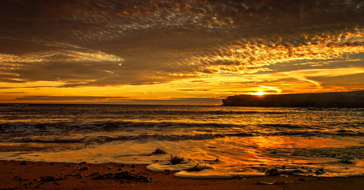 Evidence-Based Approaches to Physiotherapy in Chiropractic Settings