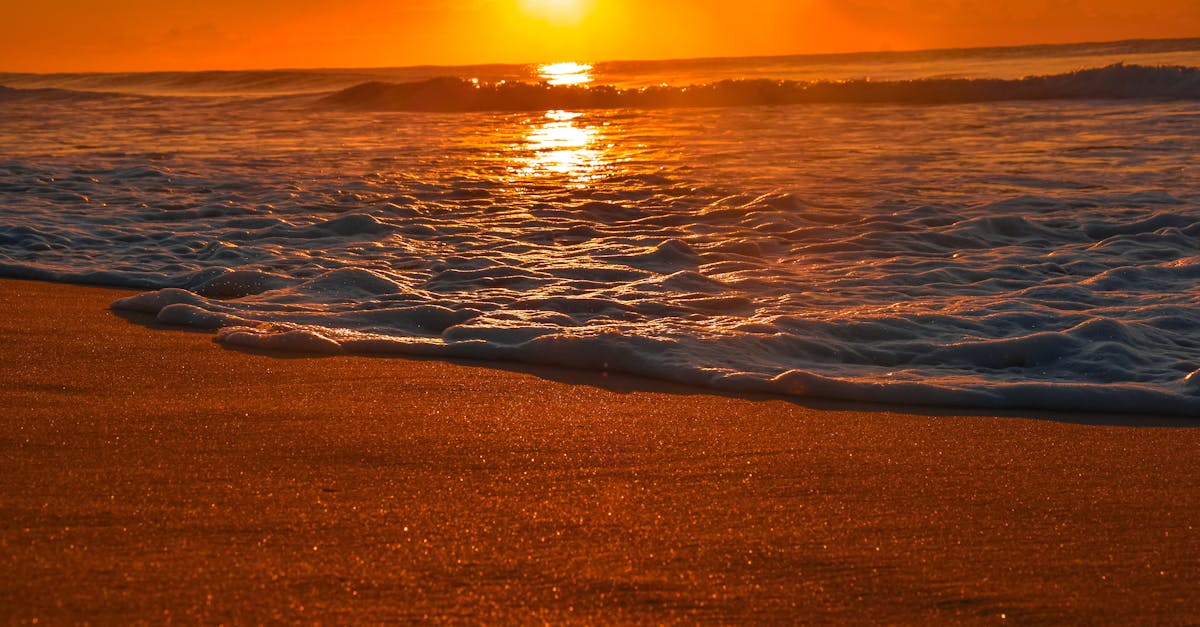 Exploring the Connection Between Chiropractic Care and Mental Wellbeing