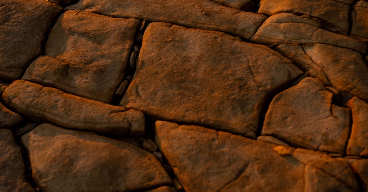 From Slouching to Standing Tall: Success Stories in Posture Improvement