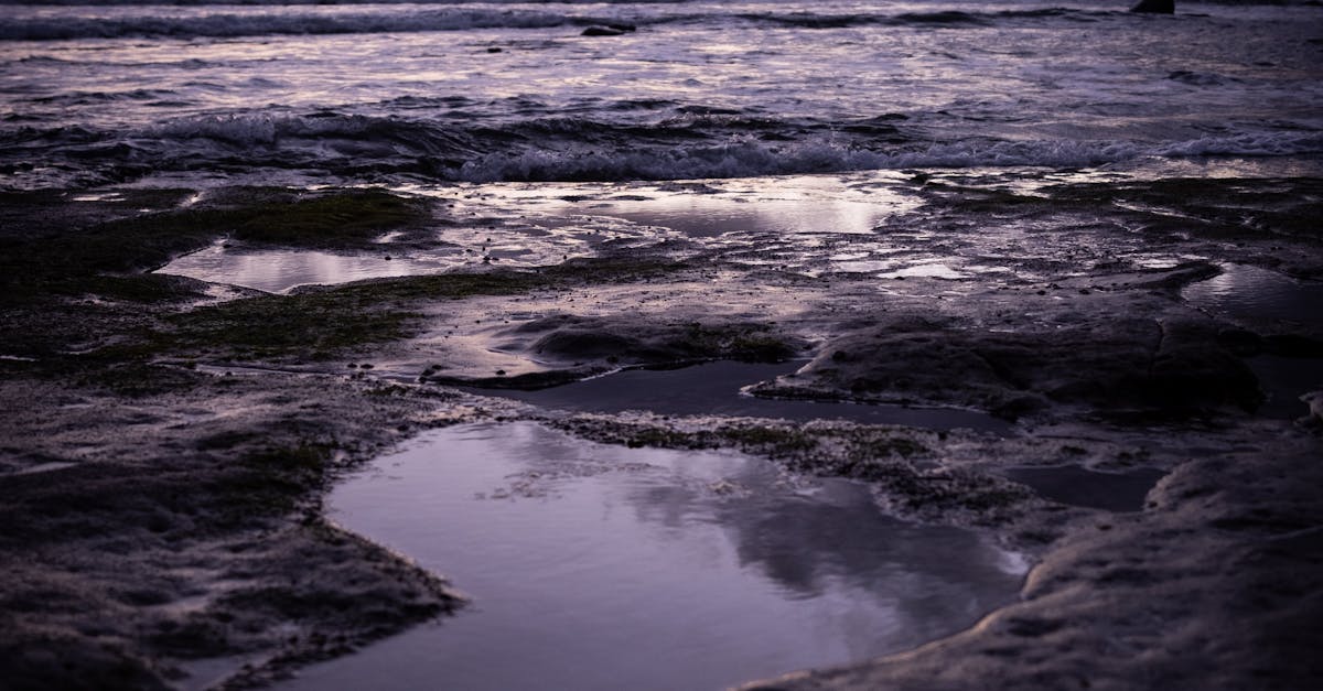 How Chiropractic Care Enhances Joint Mobility for Active Lifestyles