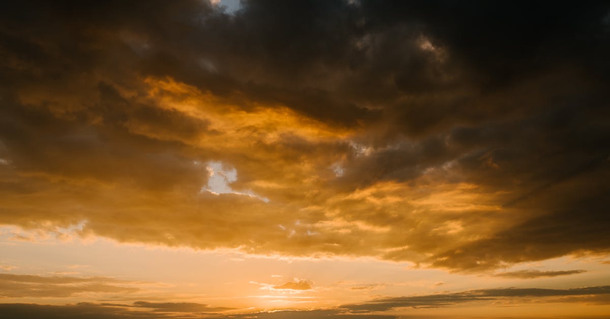 How Location Affects Your Chiropractic Experience