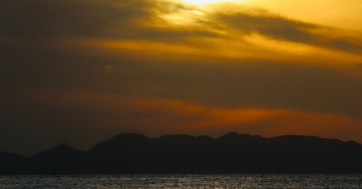 How Massage Therapy Enhances Recovery from Spinal Adjustments