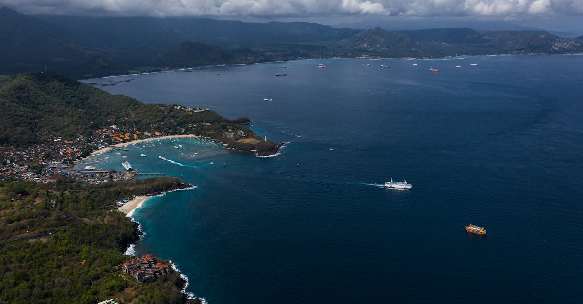 How Professional Development Enhances Chiropractic Qualifications