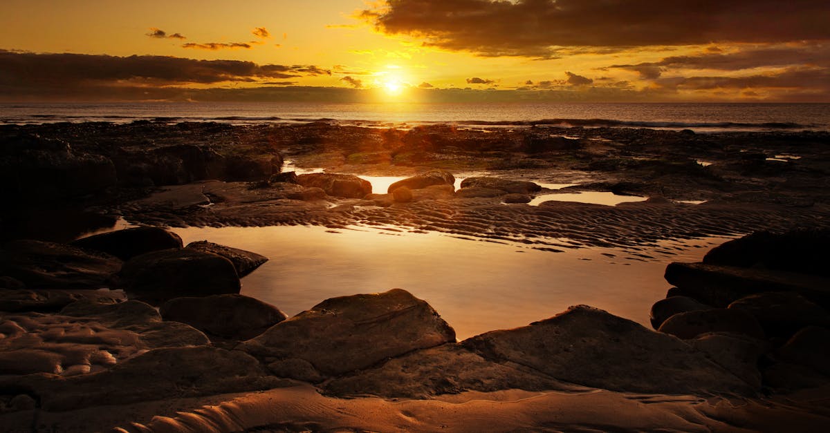 How Word-of-Mouth Impacts Your Chiropractor Selection in Gold Coast