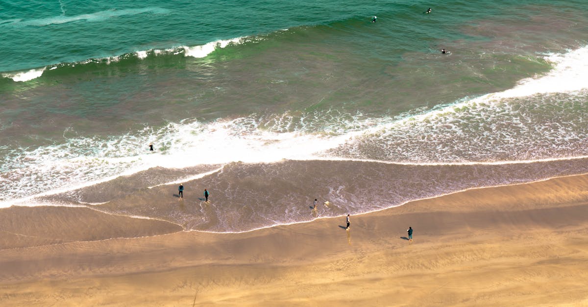 Key Credentials to Look for in a Gold Coast Chiropractor