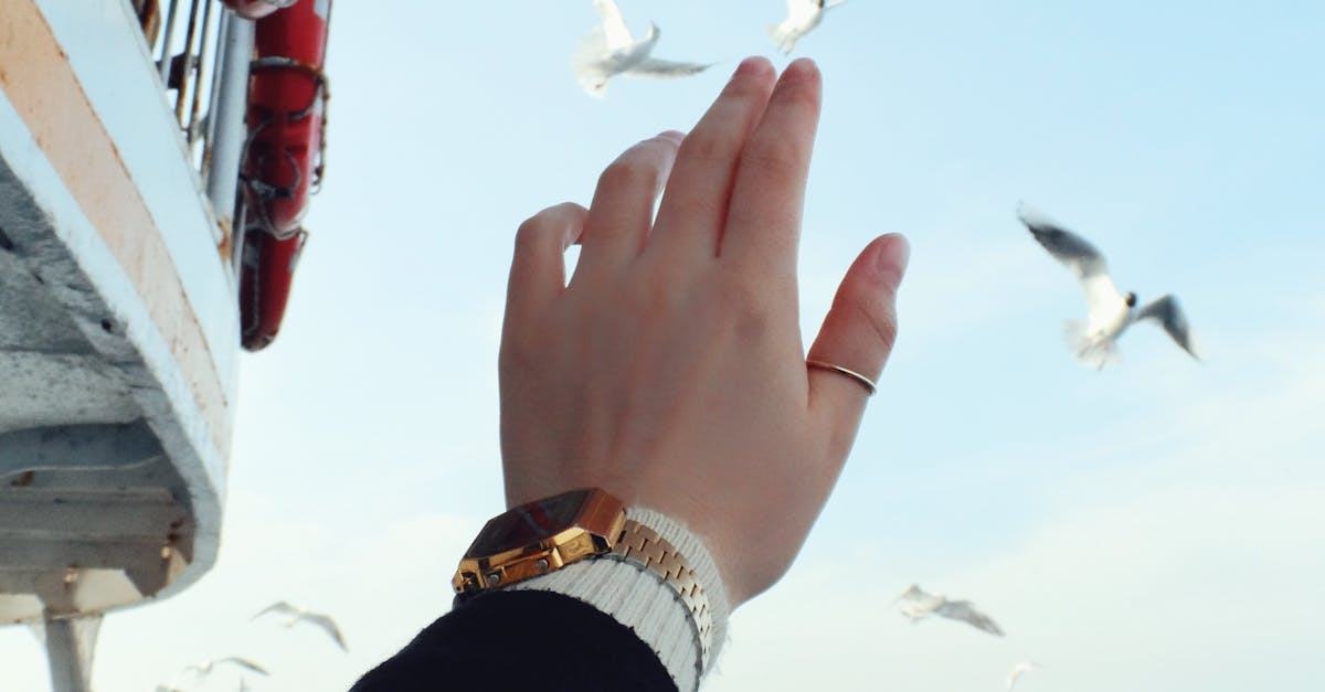 Myths and Facts About Spinal Adjustments in Chiropractic Therapy