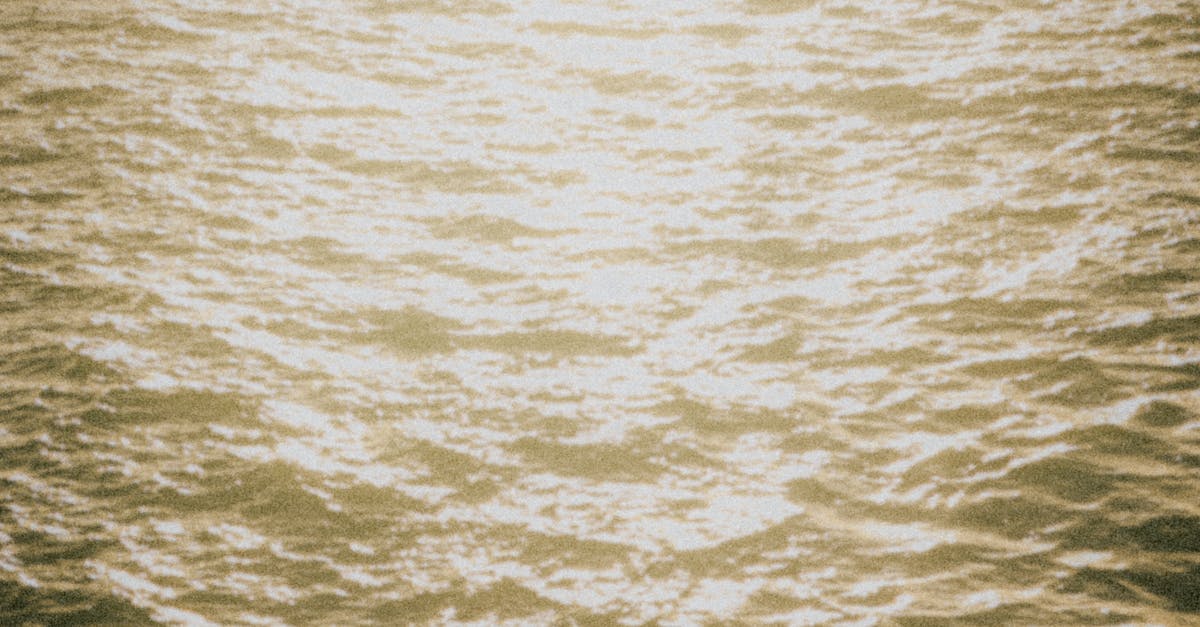 Navigating the Gold Coast for Accessible Chiropractic Services