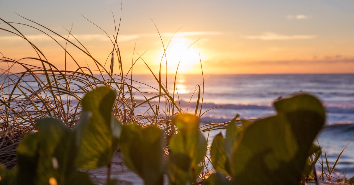 Pain Relief Strategies: The Role of Chiropractors in Injury Recovery