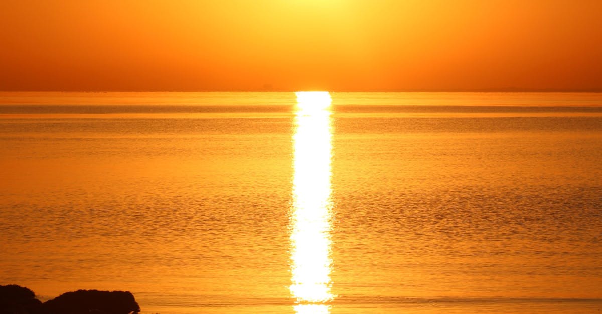 Physiotherapy Techniques for Post-Surgical Rehabilitation