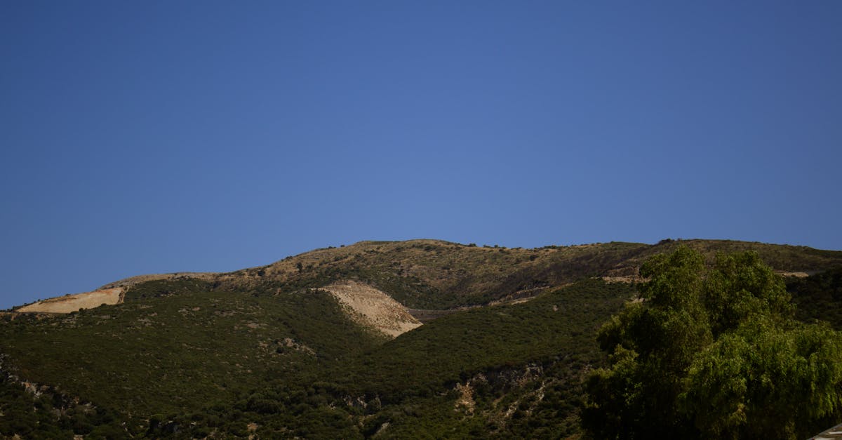 Physiotherapy's Role in Enhancing Athletic Performance