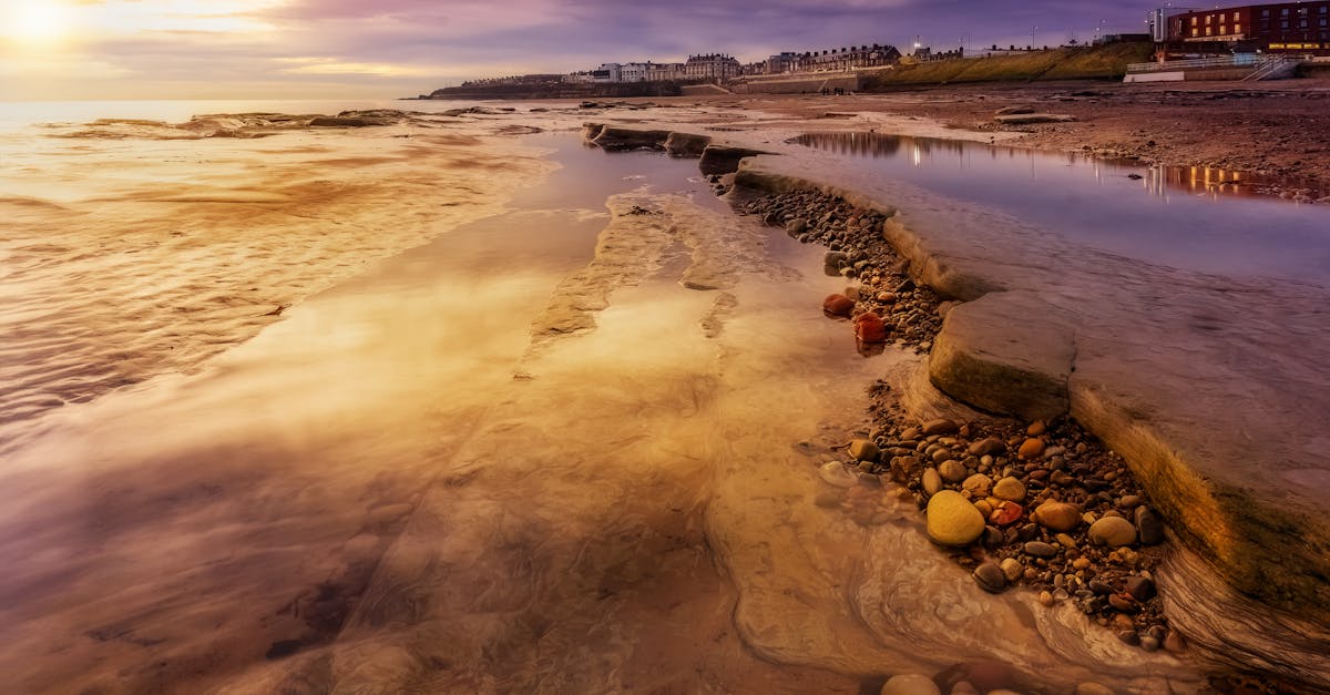 Real Experiences: What to Look for in Chiropractic Testimonials