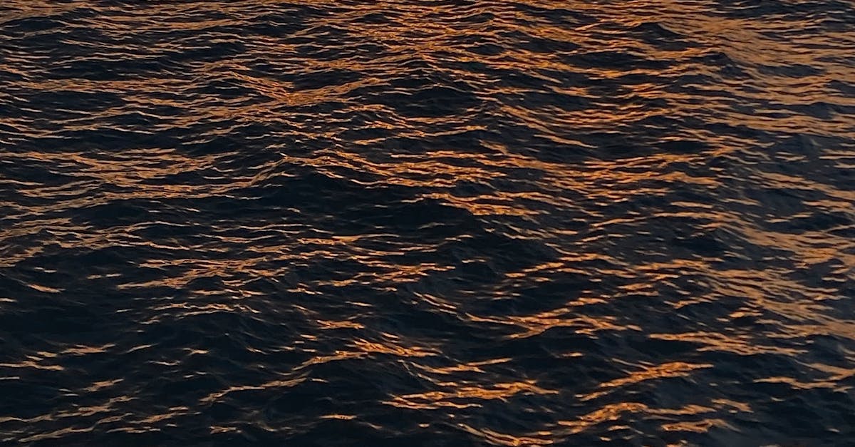 Supplements to Support Chiropractic Treatments