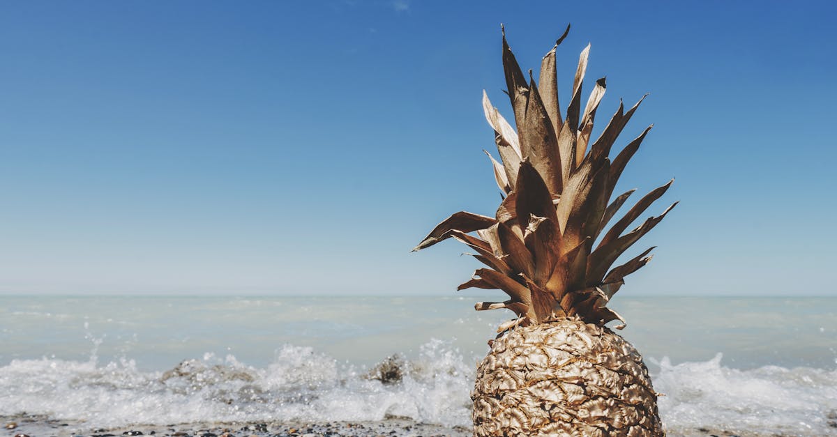 Techniques Used by Chiropractors for Enhanced Relaxation