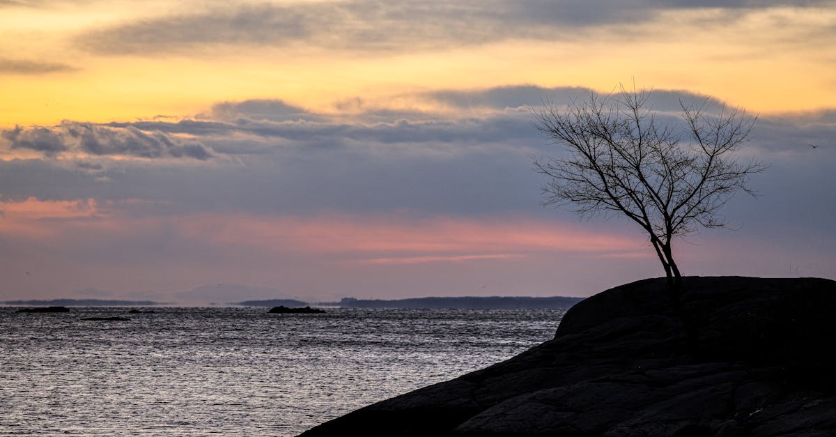 The Connection Between Spinal Adjustments and Improved Posture