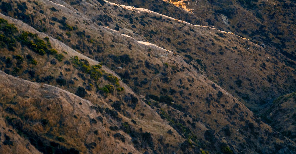 The Effectiveness of Chiropractic Treatment for Headaches