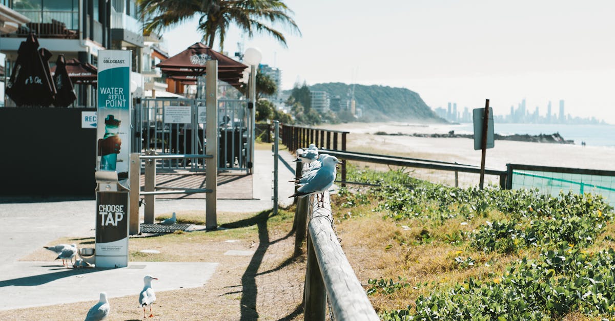 The Impact of Chiropractic Therapy on Anxiety Reduction