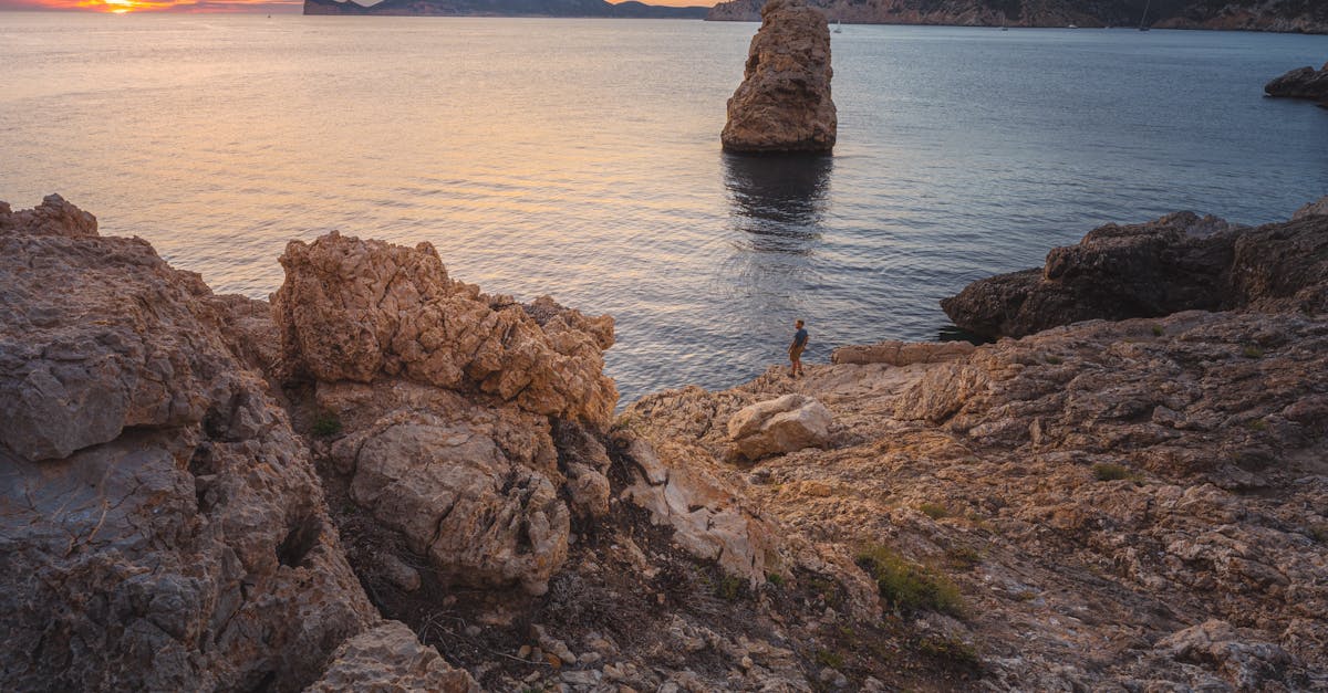 The Importance of Regular Chiropractic Visits for Long-Term Health