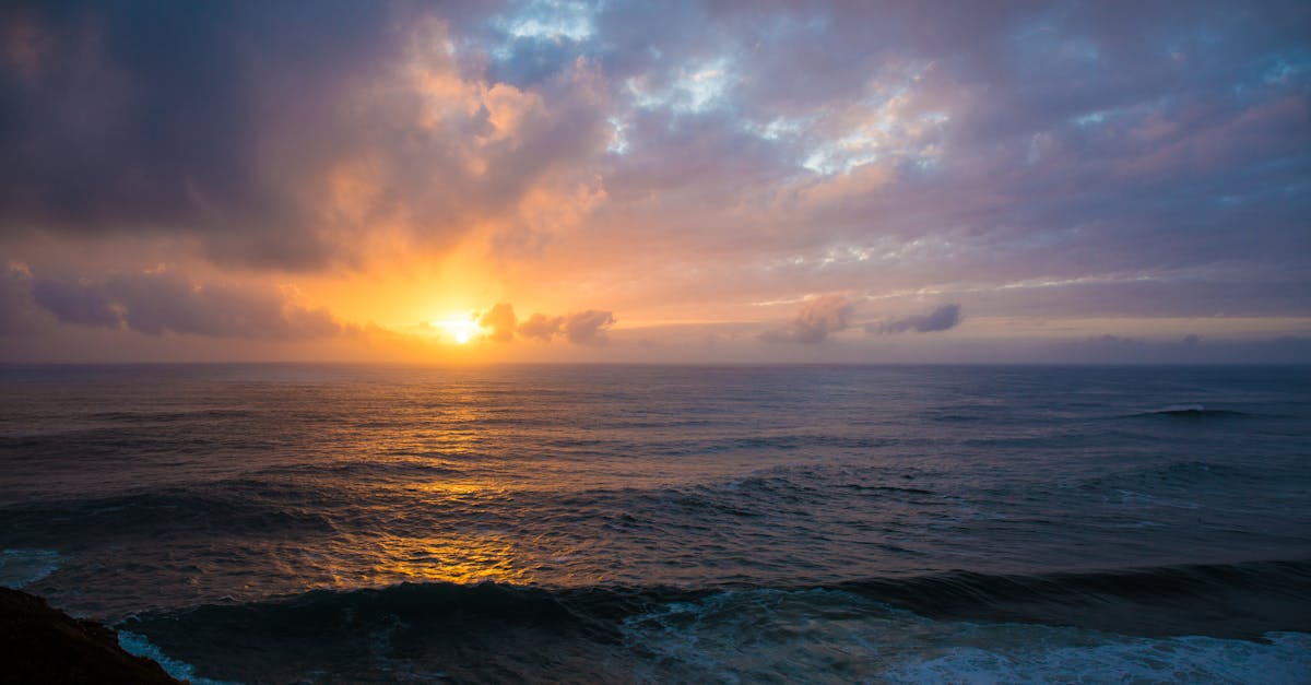 The Influence of Chiropractic Care on Immune System Functioning