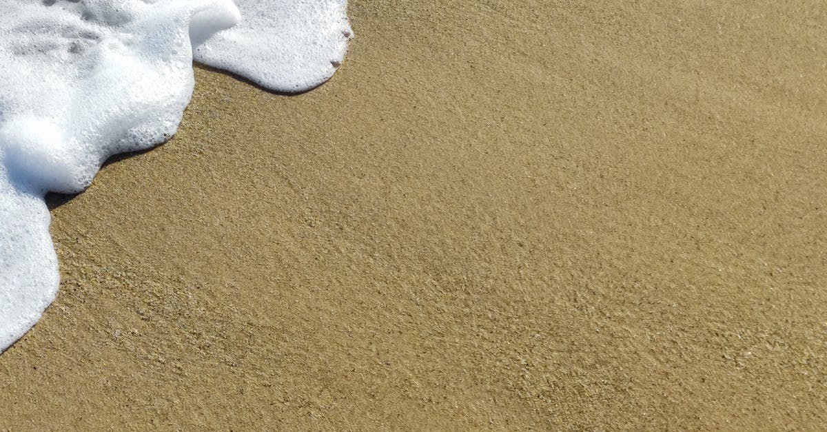 The Role of Nutrition in Chiropractic Wellness on the Gold Coast