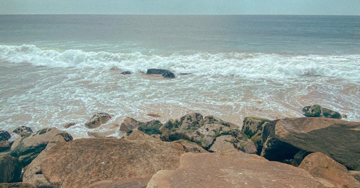 Understanding Different Massage Techniques Used by Chiropractors