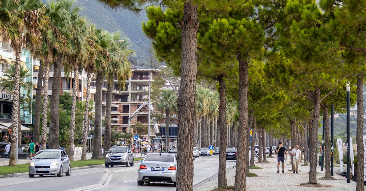 Understanding the Benefits of Spinal Adjustments in Chiropractic Care