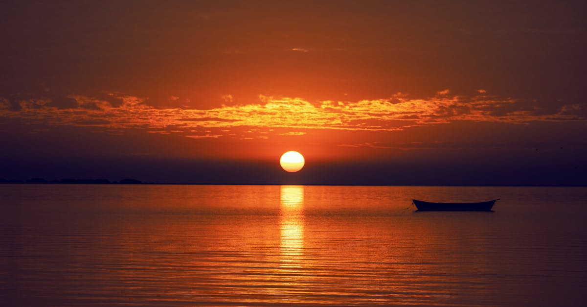 Understanding the Different Consultation Packages Offered by Chiropractors