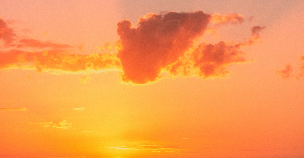 Understanding the Impact of Chiropractic Services on Comprehensive Health