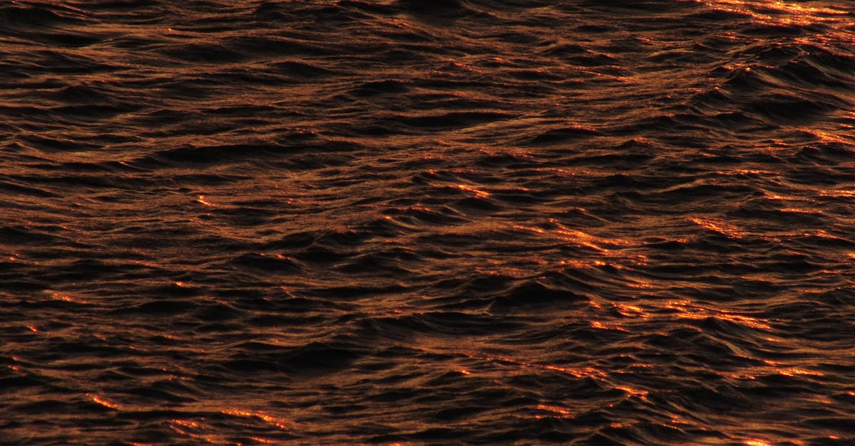 Understanding the Importance of Qualifications in Chiropractic Practice