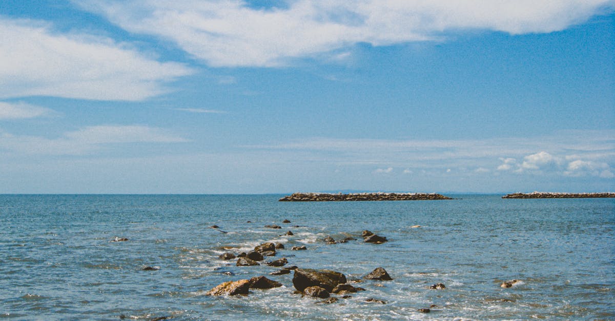 Understanding the Role of Chiropractic Care in Chronic Pain Management