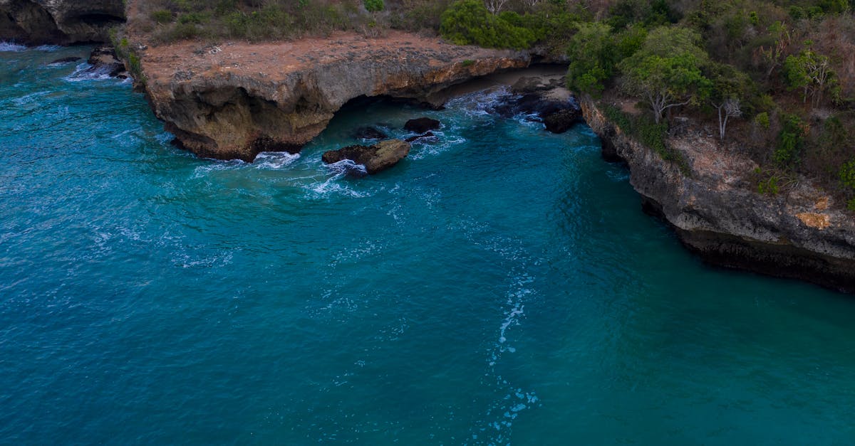 Understanding Transport Options to Your Chiropractic Appointment