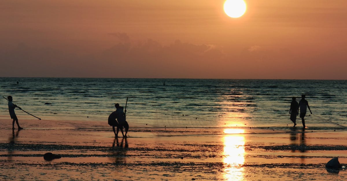 What to Expect During Your First Visit to a Chiropractor